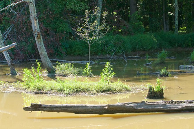 Photo detail