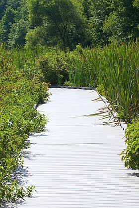 Photo detail