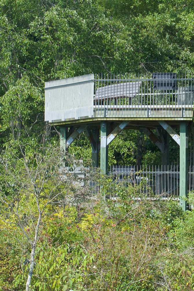 Photo detail