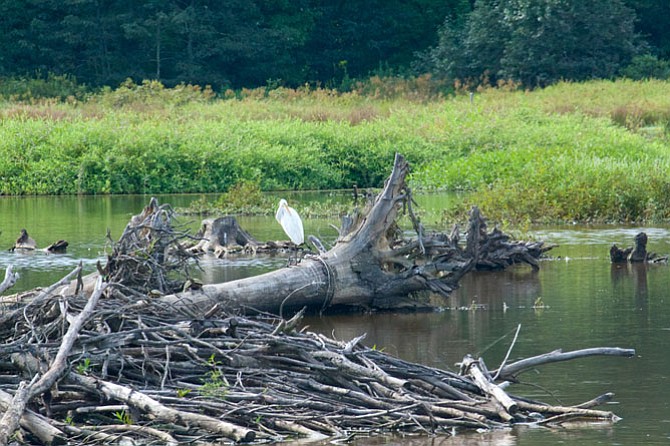 Photo detail
