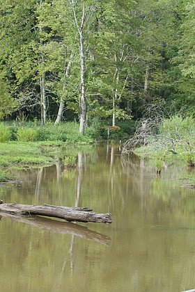 Photo detail