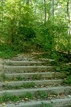 Photo detail