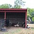 photo thumbnail