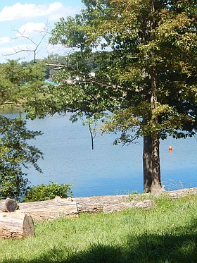 Photo detail