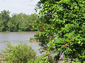 Photo detail