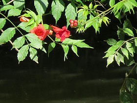 Photo detail
