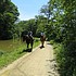 photo thumbnail