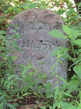 Photo detail