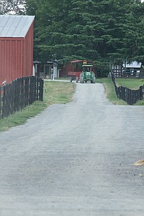 photo thumbnail