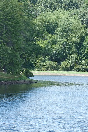 Photo detail
