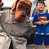 photo thumbnail