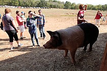 photo thumbnail
