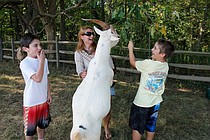 photo thumbnail