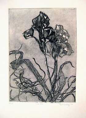 Photo detail