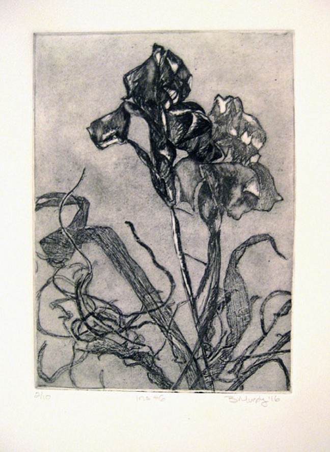 Photo detail