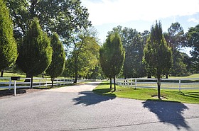 Photo detail