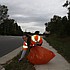 photo thumbnail