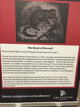 Photo detail