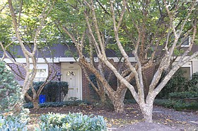 Photo detail