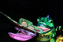 photo thumbnail