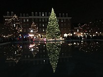 photo thumbnail