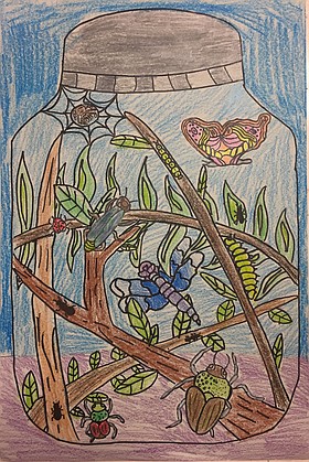 Photo detail