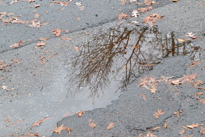 Photo detail