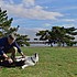 photo thumbnail