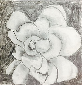 Photo detail