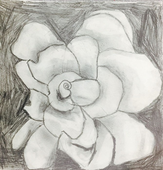 Photo detail