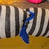 photo thumbnail