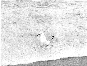 Photo detail
