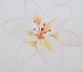 Photo detail