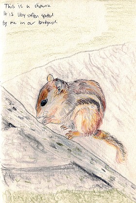 Photo detail