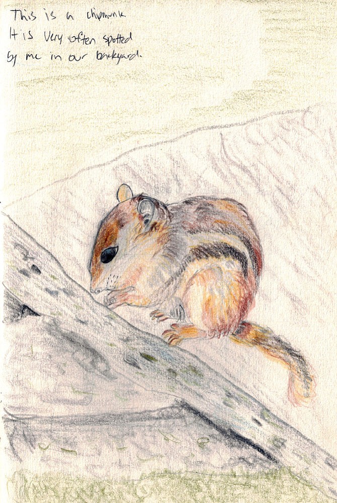Photo detail