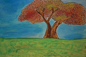 Photo detail