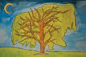 Photo detail