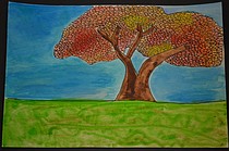 photo thumbnail