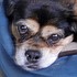 photo thumbnail