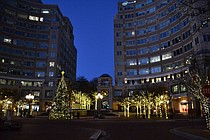 photo thumbnail