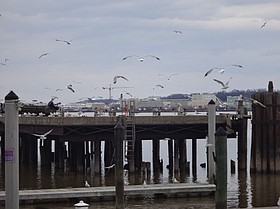 Photo detail