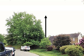 Photo detail