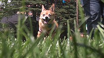 photo thumbnail
