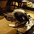 photo thumbnail