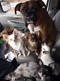 photo thumbnail