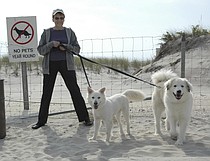 photo thumbnail