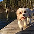 photo thumbnail