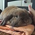 photo thumbnail