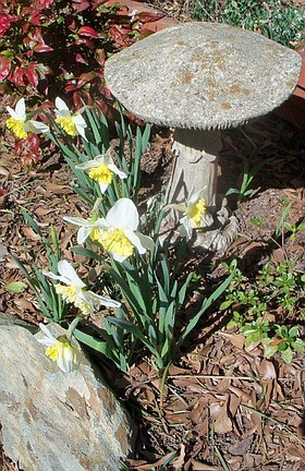 Photo detail