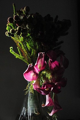 Photo detail